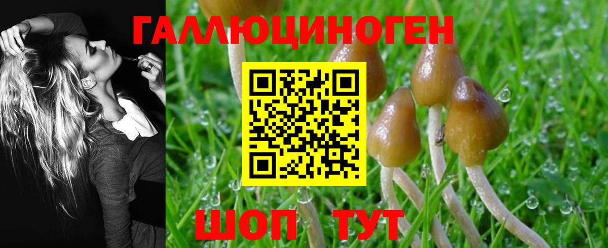 Корсаков  Псилоцибиновые грибы Magic Shrooms  Вход с VPN 