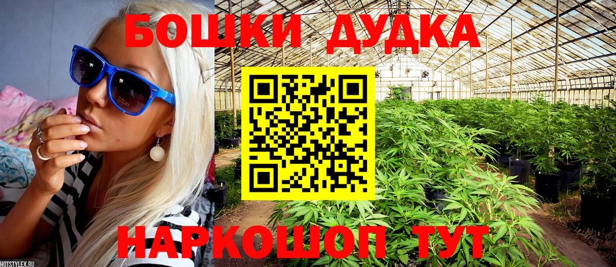 МЕФ Корсаков